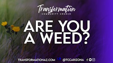 Are you A Weed